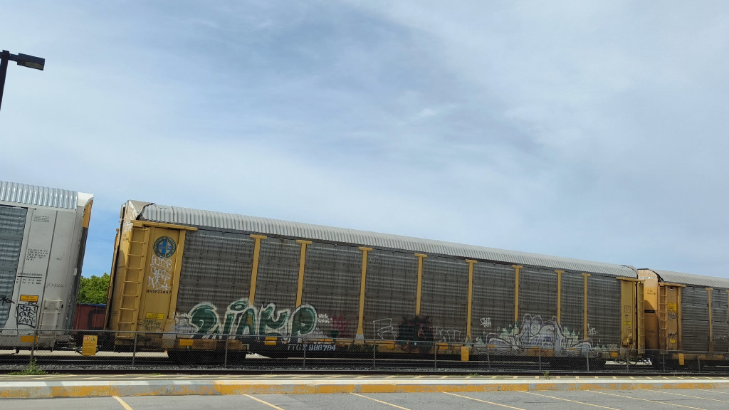 BNSF 23657 (Body) TTGX 986784 (Flat)